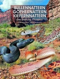 Abbildung von: Bullennattern, Gophernattern und Kiefernnattern - Natur und Tier