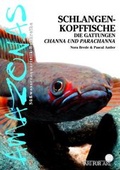 Cover: Schlangenkopffische - Natur und Tier