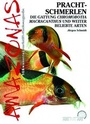Cover: Prachtschmerlen - Natur und Tier