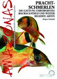 Abbildung von: Prachtschmerlen - Natur und Tier