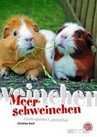 Abbildung von: Meerschweinchen - Natur und Tier