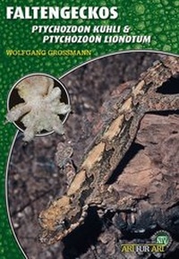 Abbildung von: Faltengeckos - Natur und Tier