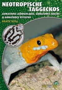 Abbildung von: Neotropische Taggeckos - Natur und Tier