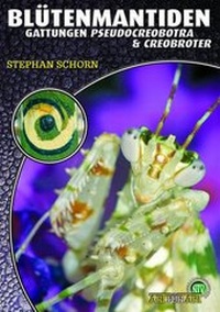 Abbildung von: Blütenmantiden - Natur und Tier