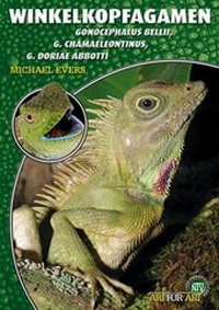Abbildung von: Winkelkopfagamen - Natur und Tier