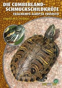 Abbildung von: Die Cumberland-Schmuckschildkröte - Natur und Tier