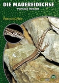 Cover: Die Mauereidechse - Natur und Tier