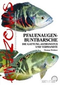 Cover: Pfauenaugenbuntbarsche - Natur und Tier