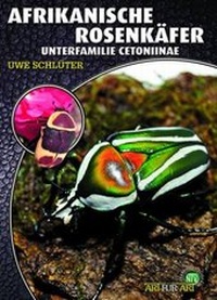 Abbildung von: Afrikanische Rosenkäfer - Natur und Tier
