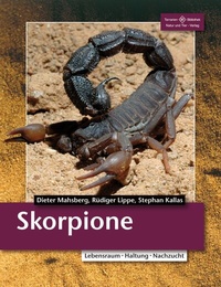 Abbildung von: Skorpione - Natur und Tier