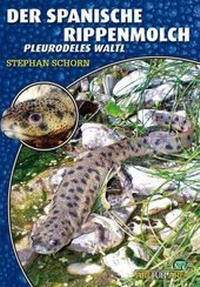 Abbildung von: Der Spanische Rippenmolch - Natur und Tier