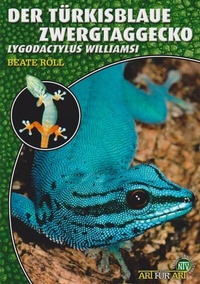 Abbildung von: Der Türkisblaue Zwergtaggecko - Natur und Tier