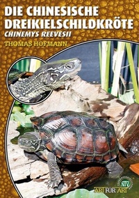 Abbildung von: Die Chinesische Dreikielschildkröte - Natur und Tier
