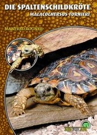 Abbildung von: Die Spaltenschildkröte - Natur und Tier