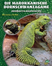 Abbildung von: Die Marokkanische Dornschwanzagame - Natur und Tier