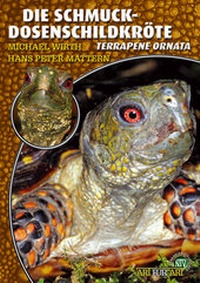 Abbildung von: Die Schmuck-Dosenschildkröte - Natur und Tier