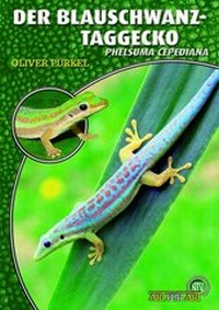 Abbildung von: Der Blauschwanz-Taggecko - Natur und Tier