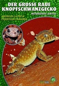 Abbildung von: Der Große Raue Knopfschwanzgecko - Natur und Tier