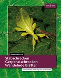 Cover: Stabschrecken, Gespenstschrecken, Wandelnde Bl&auml;tter - Natur und Tier