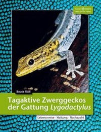 Abbildung von: Tagaktive Zwerggeckos der Gattung Lygodactylus - Natur und Tier