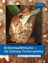Abbildung von: Krötenlaubfrösche - Die Gattung Trachycephalus - Natur und Tier