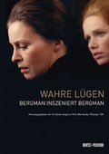 Cover: Wahre L&uuml;gen - Bertz und Fischer