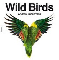 Enlarge image Cover: Wild Birds - Knesebeck