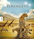 Cover: Serengeti - Knesebeck