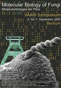 Cover: Molecular biology of fungi - Europ&auml;ischer Universit&auml;tsverlag
