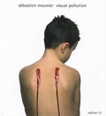 Cover: Visual Pollution - Steidl