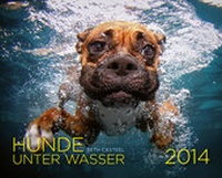 Abbildung von: Hunde unter Wasser 2014 - Riva