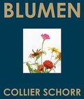 Cover: Blumen - Steidl
