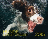 Abbildung von: Hunde unter Wasser 2015 - Riva