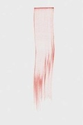 Cover: Red Breathing - Steidl