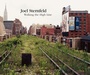 Cover: Walking the High Line - Steidl