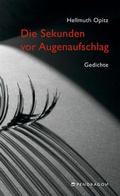 Cover: Die Sekunden vor Augenaufschlag - Pendragon