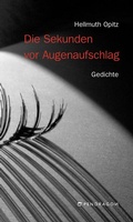 Cover: Die Sekunden vor Augenaufschlag - Pendragon
