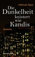 Cover: Die Dunkelheit knistert wie Kandis - Pendragon