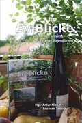 Cover: EinBlicke. Literarisch serviert von Essener Jugendlichen - Geest-Verlag