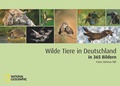Cover: Wilde Tiere in Deutschland in 365 Bildern - National Geographic Deutschland