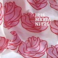Cover: Iris Maria Nitzl - Klinger, Dietmar