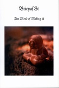 Cover: Brieyaf 8c - Frankfurter Literaturverlag