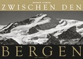 Cover: Zwischen den Bergen 2013 - ars vivendi