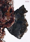 Cover: Cameron Jamie. Inner Planets - K&ouml;nig, Walther
