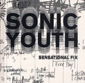 Cover: Sonic Youth etc. Sensational Fix - K&ouml;nig, Walther
