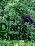 Cover: Diana Thater. Gorillagorilla - K&ouml;nig, Walther