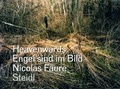 Cover: Heavenwards / Engel sind im Bild - Steidl