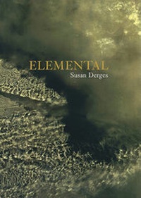 Enlarge image Cover: Elemental - Steidl