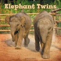 Enlarge image Cover: Elephant Twins - G P Putnam's Sons