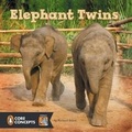 Cover: Elephant Twins - G P Putnam's Sons
